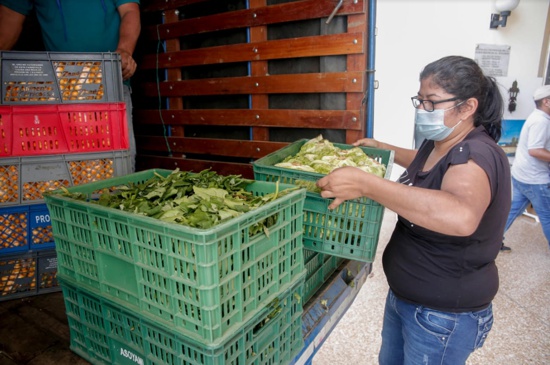 La agricultura amigable con el medio ambiente, un motivo más para avanzar en el Cauca La agricultura amigable con el medio ambiente, un motivo más para avanzar en el Cauca