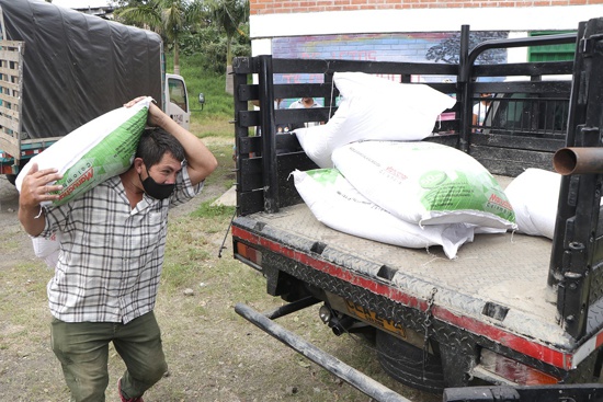 Se reactiva proyecto de fortalecimiento de la cadena láctea en Cauca Se reactiva proyecto de fortalecimiento de la cadena láctea en Cauca
