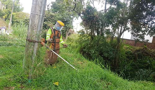 Continúan las estrategias para mitigar la llegada del Dengue a la ciudad de Popayán