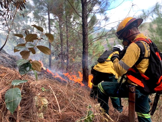 Ser bombero no es tarea fácil en Santander de Quilichao Ser bombero no es tarea fácil en Santander de Quilichao