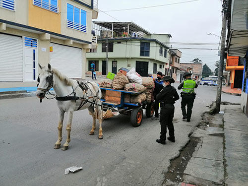 Inmovilización VTA Inmovilización VTA