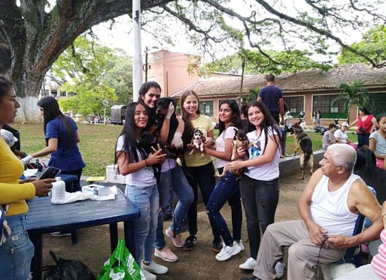 Fundación Amor Vida Animal - Santander de Quilichao