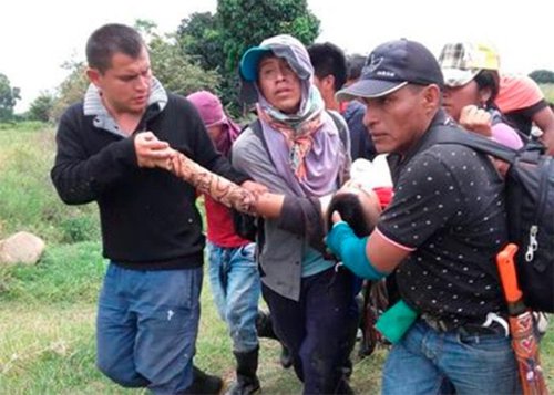 En medio de combates mataron a una niña y a una presunta disidente