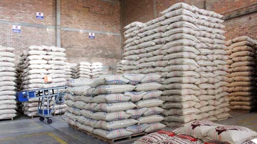 El Cauca produjo la mejor cosecha de café aún en pandemia