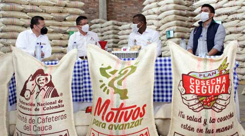 El Cauca produjo la mejor cosecha de café aún en pandemia El Cauca produjo la mejor cosecha de café aún en pandemia