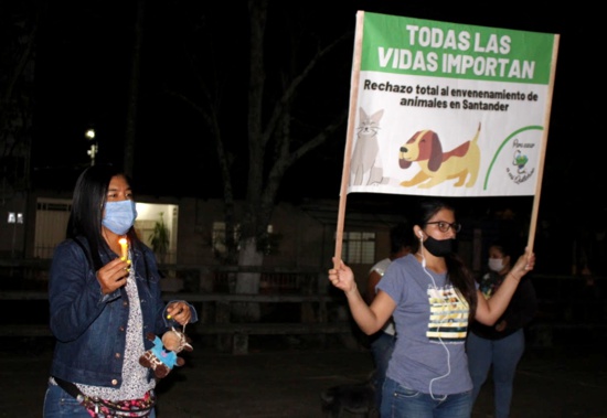 Plantón en Quilichao contra envenenamiento y maltrato animal Plantón en Quilichao contra envenenamiento y maltrato animal