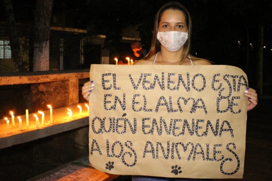 Plantón en Quilichao contra envenenamiento y maltrato animal Plantón en Quilichao contra envenenamiento y maltrato animal