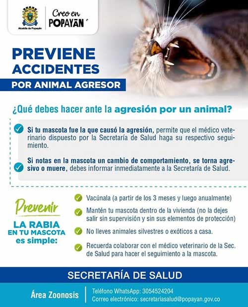 Acciones para enfrentar la enfermedad de la rabia en el municipio de Popayán