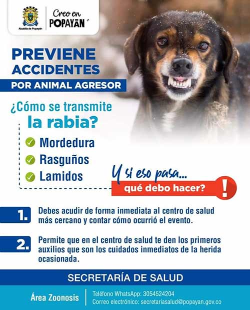Acciones para enfrentar la enfermedad de la rabia en el municipio de Popayán