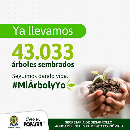 Popayán Ecológica Popayán Ecológica