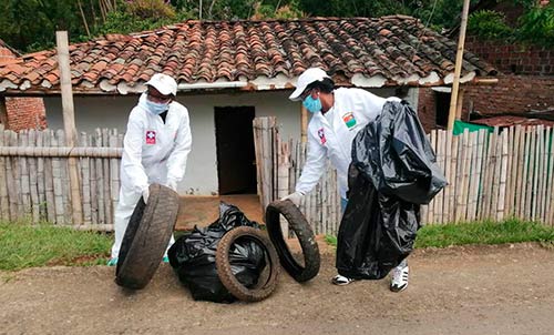 Se recolectan cerca de tres toneladas de inservibles para prevenir el Dengue Se recolectan cerca de tres toneladas de inservibles para prevenir el Dengue
