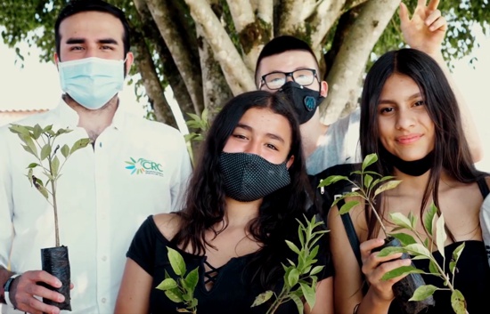 CRC sembrará 290 mil árboles durante el 2020 CRC sembrará 290 mil árboles durante el 2020
