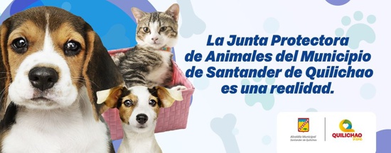 Crean Junta Protectora de Animales en Santander de Quilichao