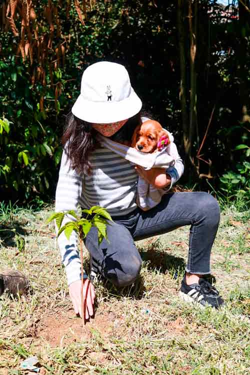 Familias del barrio Parque de Las Garzas, empoderadas en la celebración del Día Mundial del Árbol