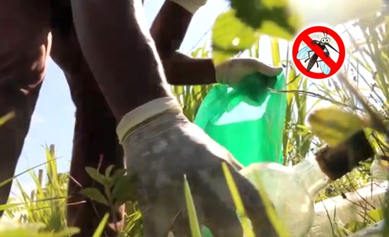 Ejecutan acciones para prevenir el Dengue en el norte del Cauca Ejecutan acciones para prevenir el Dengue en el norte del Cauca