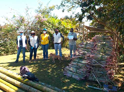 Mejoramiento de la Cadena Productiva