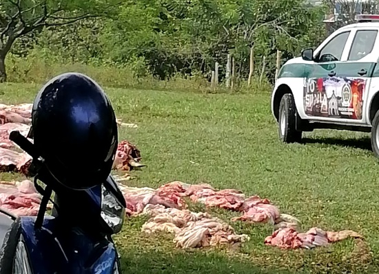 Incautan carne ilegal que sería comercializada en Quilichao