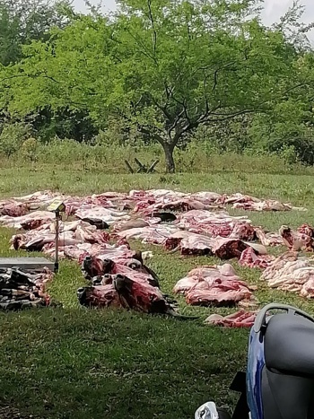 Incautan carne ilegal que sería comercializada en Quilichao