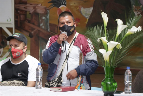 Sacha Inchi se proyecta como cultivo promisorio desde Toribío