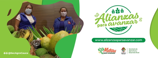 Secretaría de Agricultura y Desarrollo Social del Cauca - Alianzas para Avanzar Secretaría de Agricultura y Desarrollo Social del Cauca - Alianzas para Avanzar