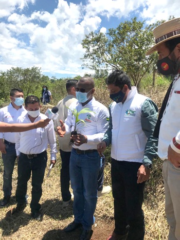 Sembrar para Vivir en el Cauca Sembrar para Vivir en el Cauca