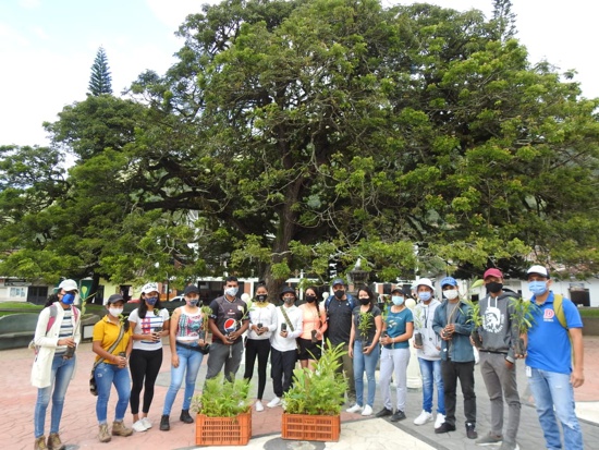 Sembrar para vivir en un Cauca ambiental y sostenible Sembrar para vivir en un Cauca ambiental y sostenible