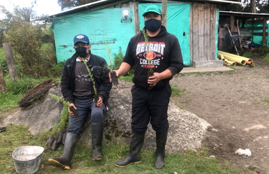 Sembrar para vivir en un Cauca ambiental y sostenible Sembrar para vivir en un Cauca ambiental y sostenible