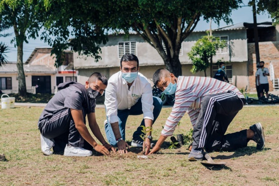 Sembrar para vivir en un Cauca ambiental y sostenible Sembrar para vivir en un Cauca ambiental y sostenible