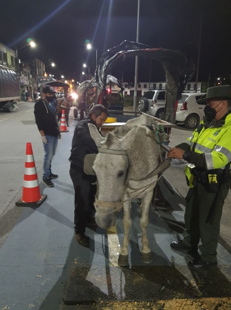 Se intensifican operativos de control a vehículos de tracción animal Se intensifican operativos de control a vehículos de tracción animal