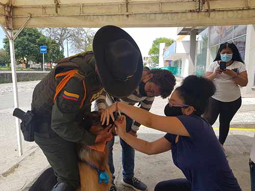 ReCreoVía Popayán se pone cada vez mejor ReCreoVía Popayán se pone cada vez mejor