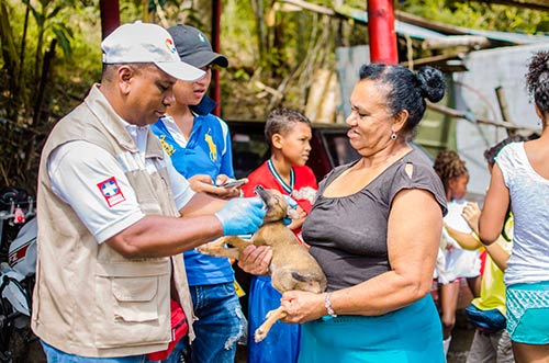 Secretaría de Salud del Cauca hace un llamado a la tenencia responsable de mascotas