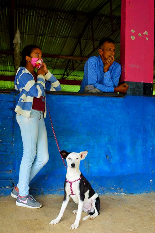 Esterilización