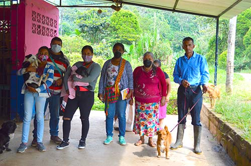 Esterilización de perros y gatos en la vereda San Isidro Esterilización de perros y gatos en la vereda San Isidro
