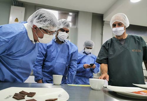 CAUCA SERÁ MODELO DE RECONVERSIÓN CAFÉ – CACAO