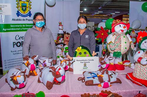 Habitantes de la Comuna 2 visitaron la Feria de Servicios Creo en Popayán