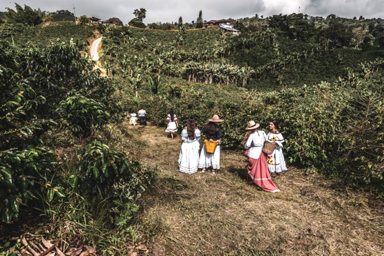 La economía agrícola familiar es la semilla para el progreso rural - ASCAFÉ - Cauca La economía agrícola familiar es la semilla para el progreso rural - ASCAFÉ - Cauca