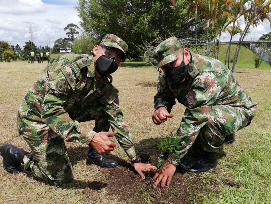 Un millón de árboles sembrados para el 2023 proyecta la CRC Un millón de árboles sembrados para el 2023 proyecta la CRC