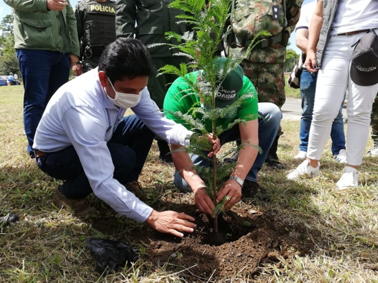 Un millón de árboles sembrados para el 2023 proyecta la CRC Un millón de árboles sembrados para el 2023 proyecta la CRC