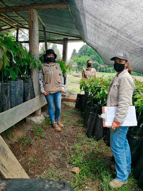 Fortalecimiento agrícola