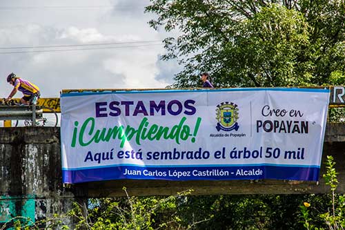 La Alcaldía de Popayán, sembró el árbol 50 mil en menos de un año
