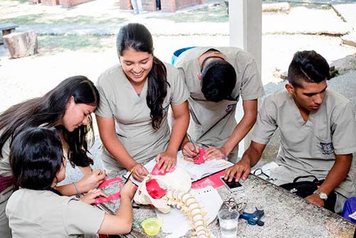 Ministerio de Educación Nacional renueva Registro Calificado al programa de Fisioterapia de Unicauca