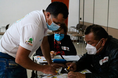 Aumenta producción de aguacate hass de Popayán