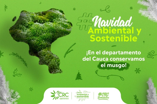 CRC invita a conmemorar una navidad ambiental y sostenible - Protejamos el musgo