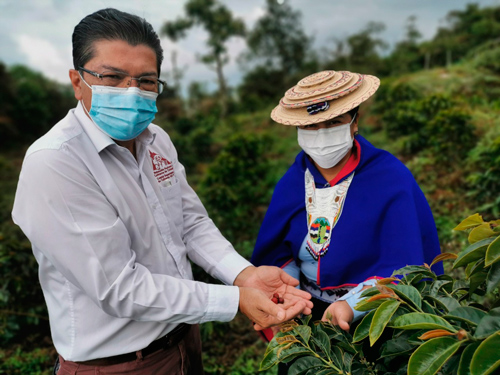 Comité de Cafeteros del Cauca hizo balance de su gestión 2020 Comité de Cafeteros del Cauca hizo balance de su gestión 2020