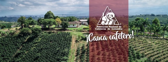 Inició la nueva gestión de los Comités Municipales de Cafeteros del Norte del Cauca