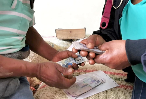 Con la mejor cosecha de la historia, el Comité de Cafeteros del Cauca hizo un balance de su gestión en el 2020. Con la mejor cosecha de la historia, el Comité de Cafeteros del Cauca hizo un balance de su gestión en el 2020.