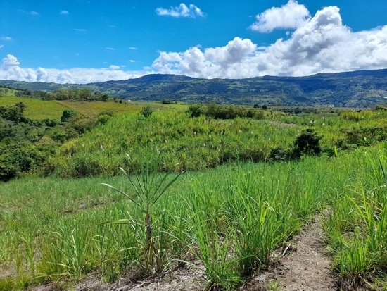 Corporación Nasa Kiwe: 26 años reconstruyendo la cuenca del río Páez