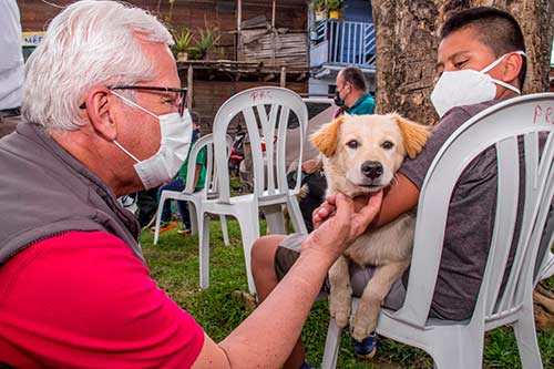 2000 mascotas serán esterilizadas en Popayán