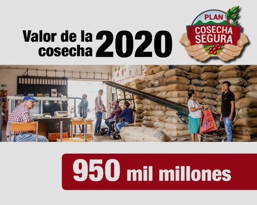 Plan Cosecha Segura en el Cauca Plan Cosecha Segura en el Cauca