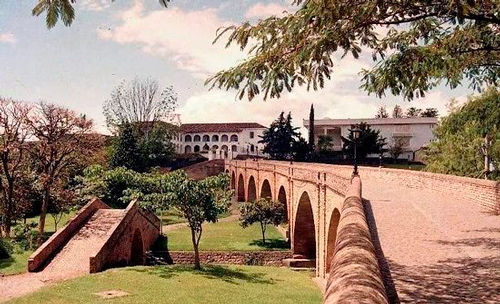 Sangre de negros Sangre de negros